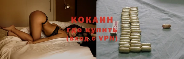 стаф Абинск