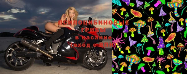стаф Абинск