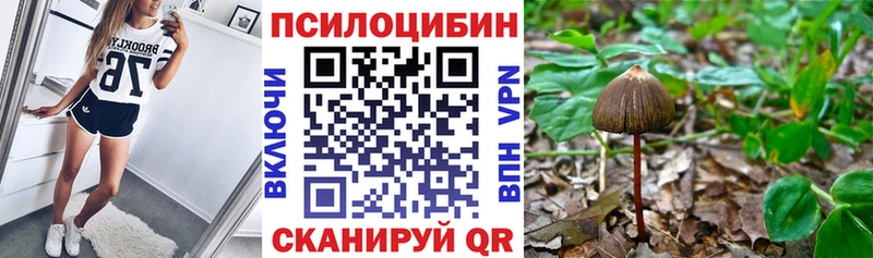 где купить Тюкалинск Псилоцибиновые грибы ЛСД